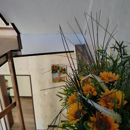 владислава - за гости *