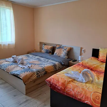 владислава - за гости