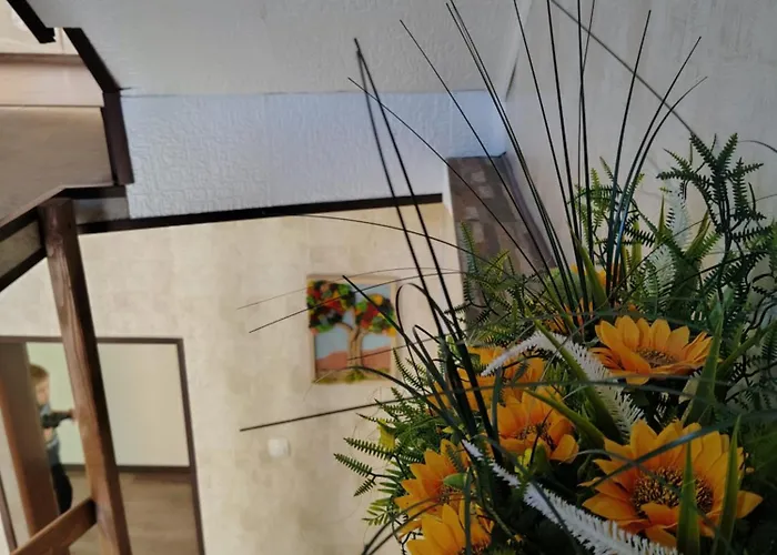 владислава - за гости *